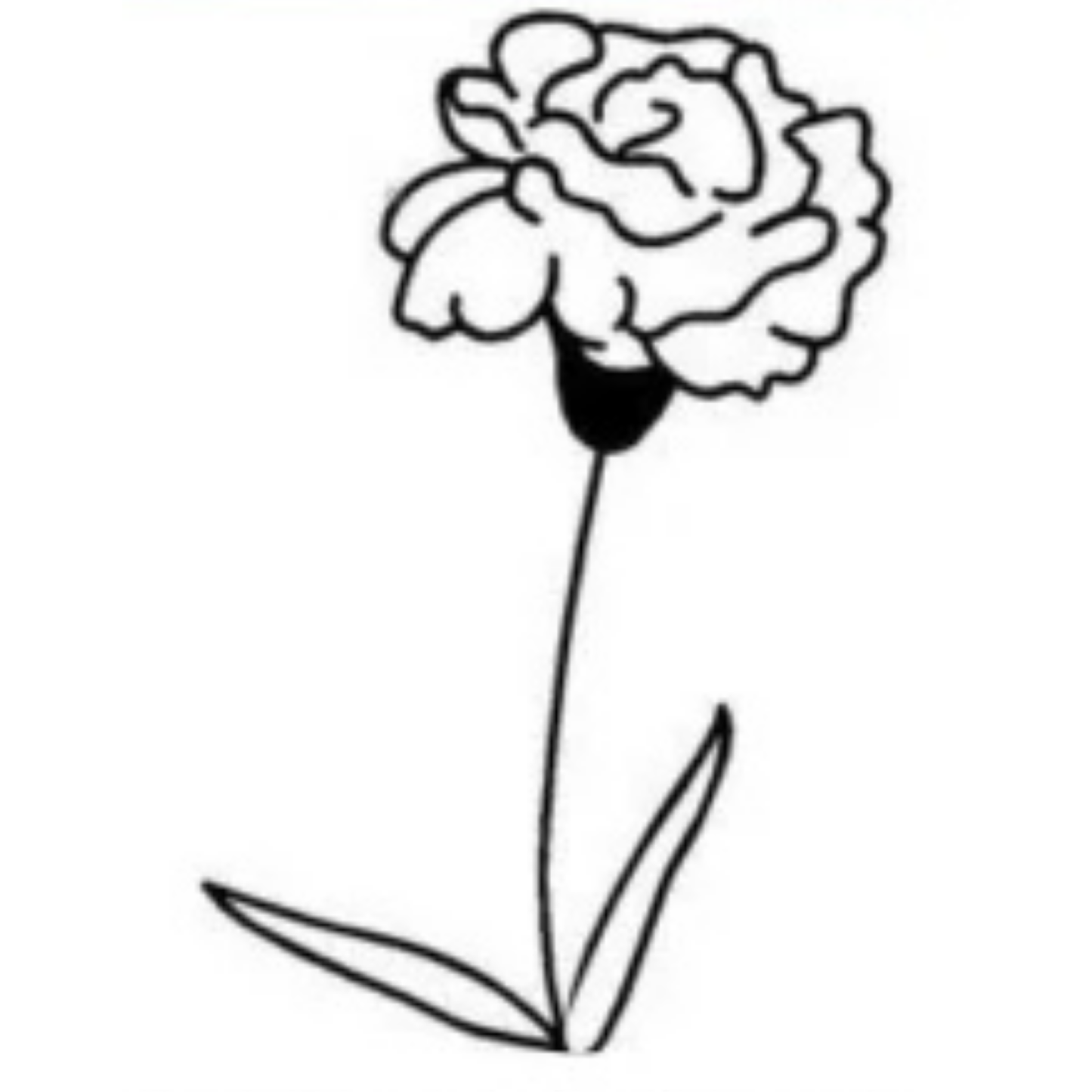 Collier Prénom & Fleur de Naissance